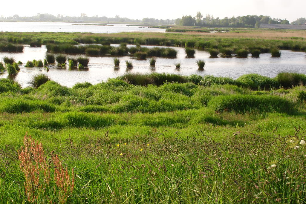 Newhouse Logies Zevenhoven Exterior foto